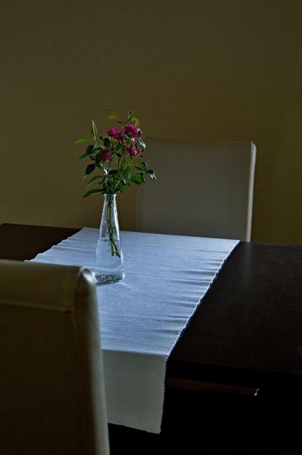 Penzion Haydnuv Dum Dolní Lukavice Buitenkant foto